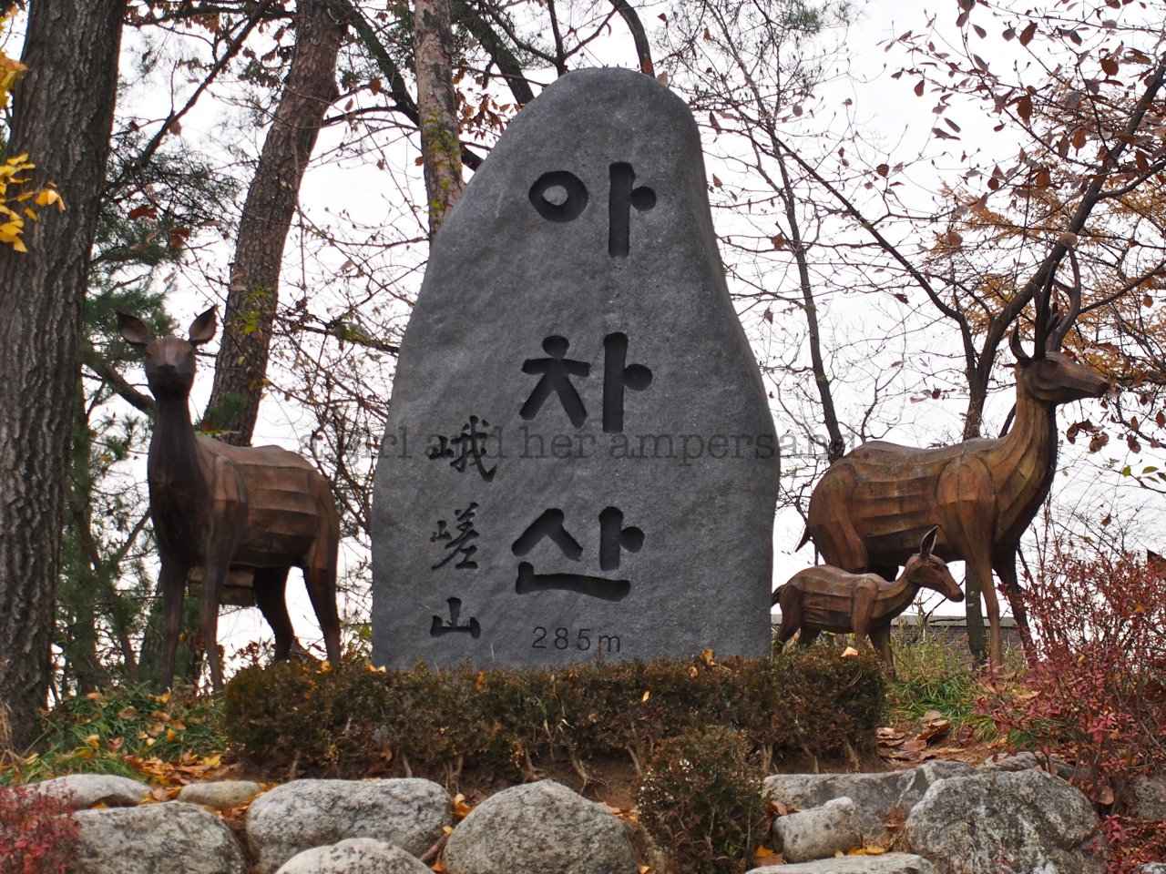 🏯 악연사 (鰐淵寺) 이미지 1